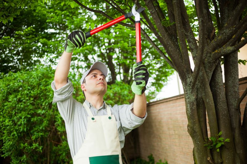 Tree care equipment